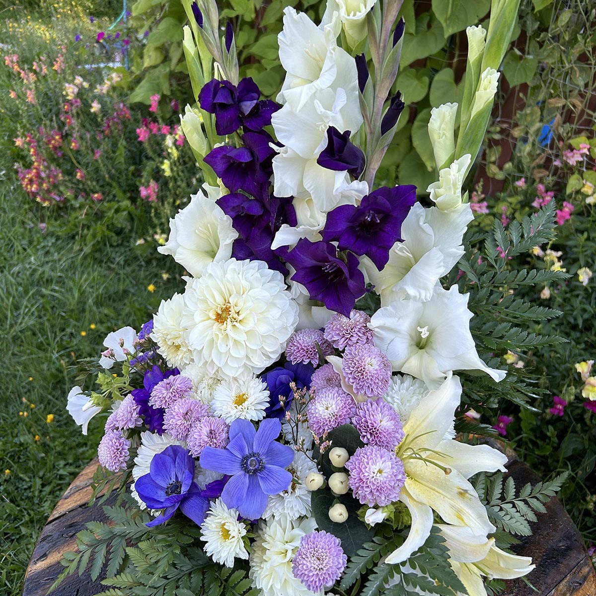 BlossomBlooms_Sympathy08